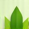 Feuille verte, symbole écologique